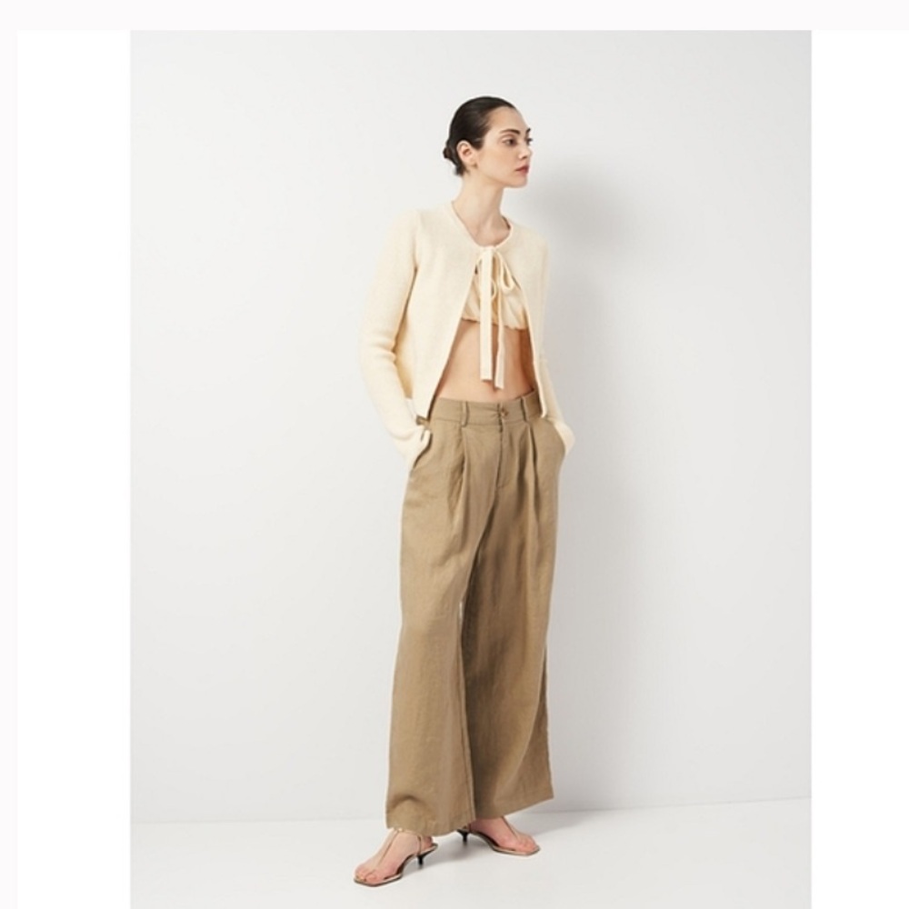 Zara Tan Pant